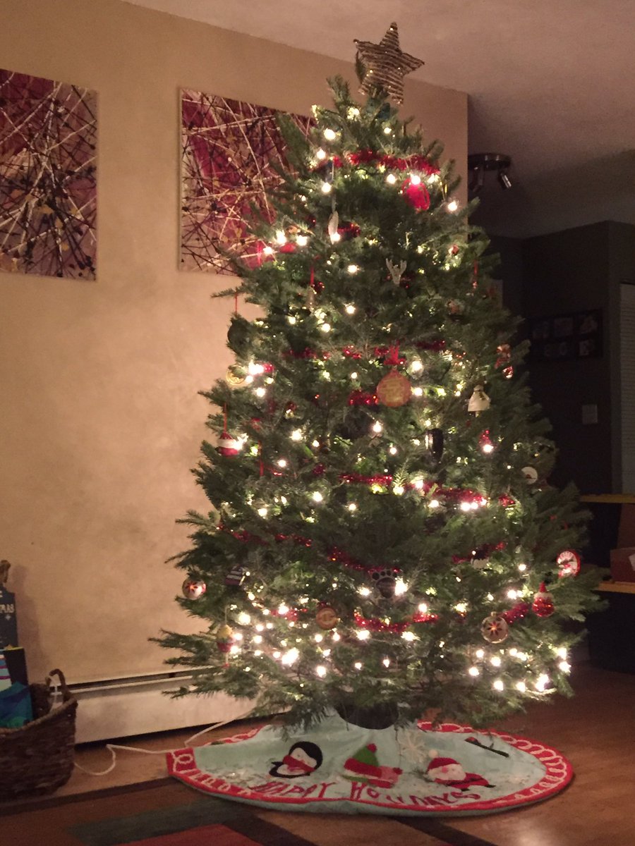 ASteeves1's tweet image. She's a beauty! 🎄 #tistheseason #25DaysOfChristmas