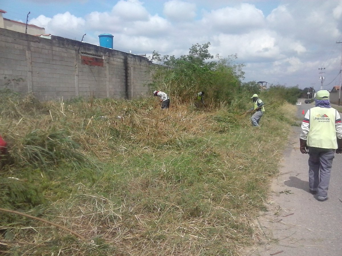 #AEstaHora nos encontramos en La Trigaleña realizando limpieza y desmalezado  #DiaPorMiComunidad #ConBarrerasPalavecinoNoSeEntrega