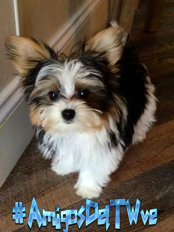 @EzelI0II <a href="/Sergio3712ok/">S € R G I O™ FRIENDS</a> <a href="/WebOz_/">✿✈Pєкємια✈✿</a> <a href="/FrancoFA89/">Franco</a> <a href="/Savierlope/">Savier Lopez 🇻🇪</a> @MariaToroDiana <a href="/JuanSGE/">juan sebastian</a> <a href="/danilogave/">DANILO Garcés 🇦🇷</a> <a href="/MartaAvendao/">Marta Avendaño 🍃🌸</a> <a href="/yonaikerco/">El KATIRE  Yonaiker</a> <a href="/ElderAcost/">ELDER AC✪STA 📚23ʸʳˢ⚽️</a> <a href="/Rubenve97/">Rubén Manrique 🇻🇪</a> @Ma77uT @adran7719 <a href="/Gachy__River/">Piel Morena🤍♥️🤍</a> <a href="/halconavicencio/">🌹❤️ELENA MIRANDA V.❤️🌹#E̲l̲e̲M̲i̲r̲a̲n̲d̲a̲</a> <a href="/como_angela/">💜💜Angelica💜💜</a> <a href="/MarceloMjrios/">🎰♠️ʍɑʀɔəɭʘ</a> <a href="/Antonyangel10/">Antony Taylor</a> <a href="/Alberto95ve/">Alberto Campos 🇻🇪</a> ✧🌟#SabadoConAmigos 
／＼～☆#AmigosDelTWve 👫
☕️～🍰
＼／
✧🌟<a href="/WebOz_/">✿✈Pєкємια✈✿</a>
@Ma77uT
@adran7719
<a href="/Gachy__River/">Piel Morena🤍♥️🤍</a>
<a href="/halconavicencio/">🌹❤️ELENA MIRANDA V.❤️🌹#E̲l̲e̲M̲i̲r̲a̲n̲d̲a̲</a>
<a href="/como_angela/">💜💜Angelica💜💜</a>
<a href="/MarceloMjrios/">🎰♠️ʍɑʀɔəɭʘ</a>
@EzelI0II
<a href="/Antonyangel10/">Antony Taylor</a>
<a href="/Alberto95ve/">Alberto Campos 🇻🇪</a>