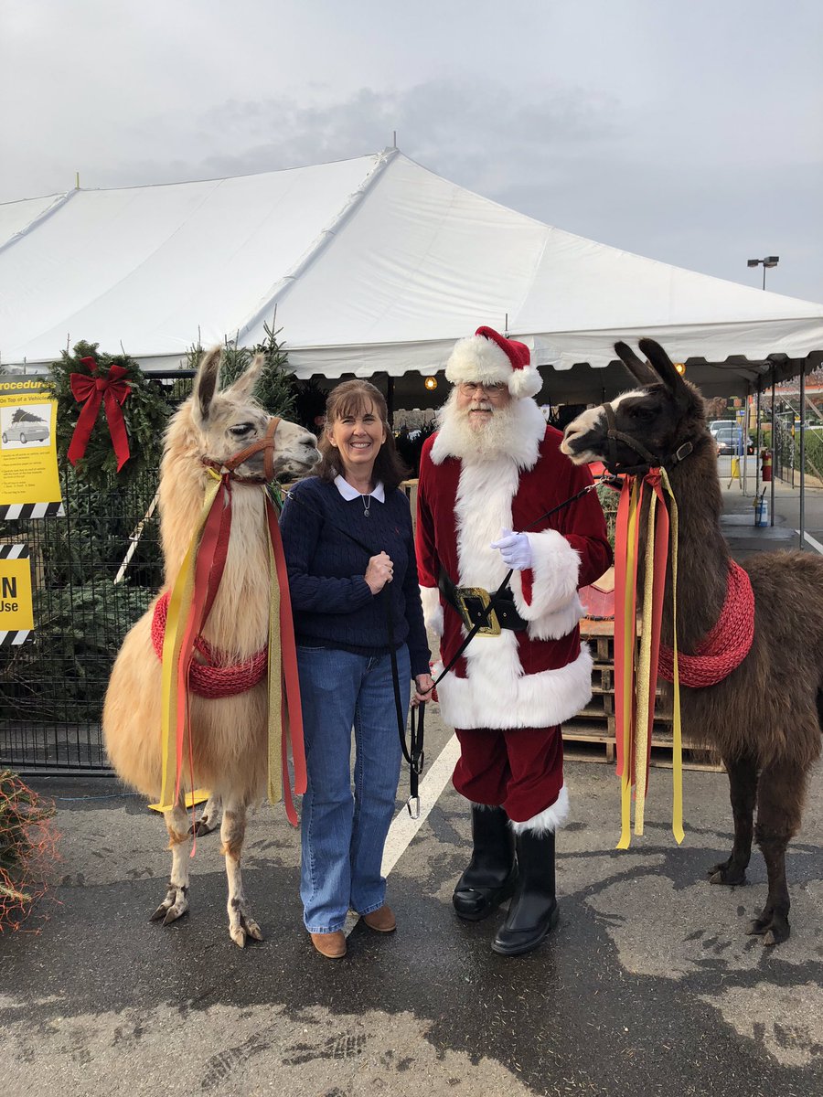 Home Depot #145 tweet media