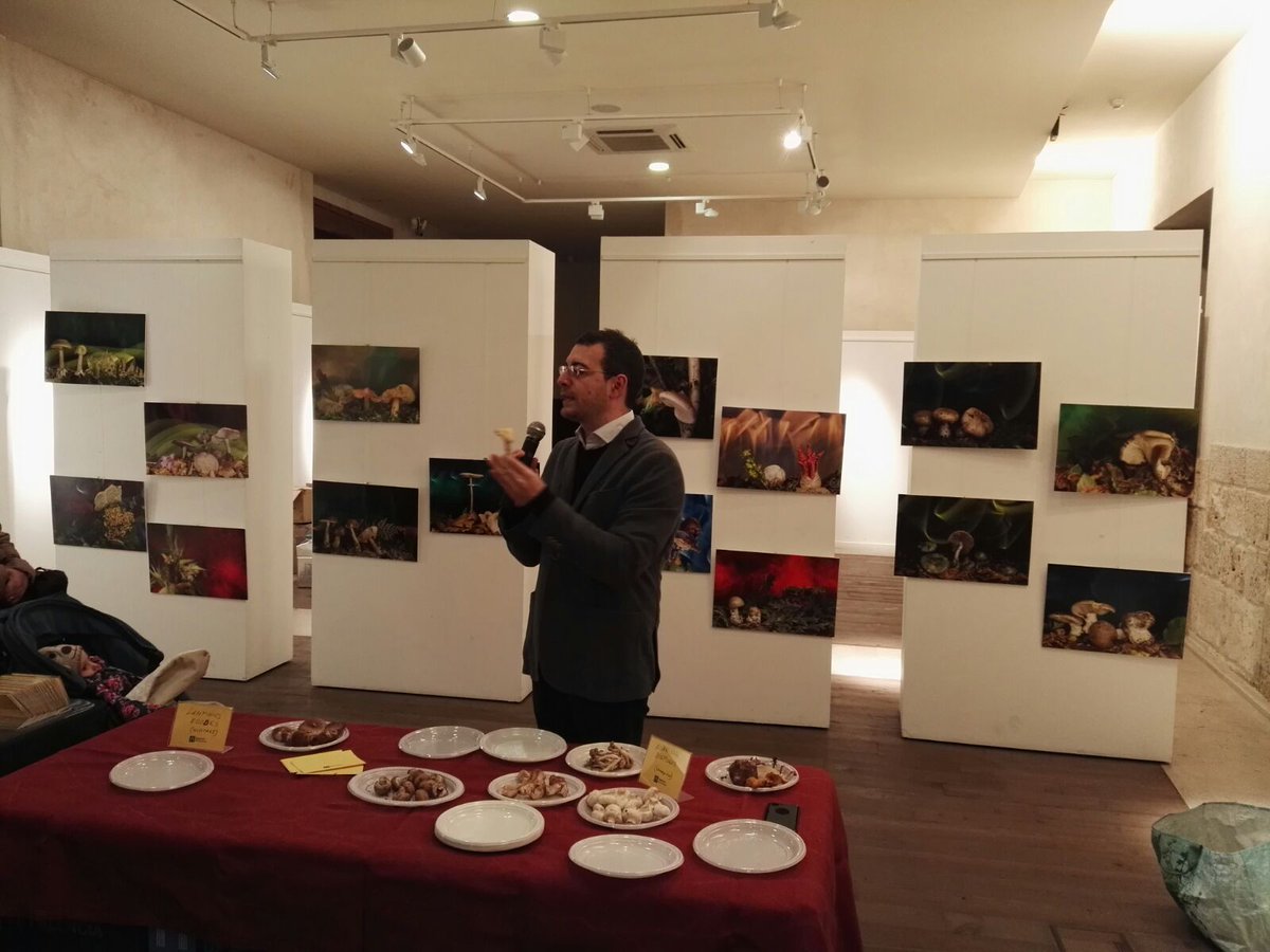Interesantísima charla de Raúl Fraile de <a href="/MundoReishi/">MundoReishi</a> en la exposición micológica contándonos las #setas peligrosas y posibles confusiones. #SemanaMicologicaPalentina #Palencia  #JornadasMicologicas pic.x.com/NUcZRjDjwX