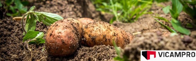 vicampro's tweet photo. If you love potatoes and appreciate farmers please RT. https://t.co/kY7r0CUJB2