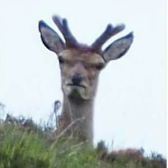 garyfromteenmom's tweet image. when u see the mf that didnt let poor rudolph join in any reindeer games