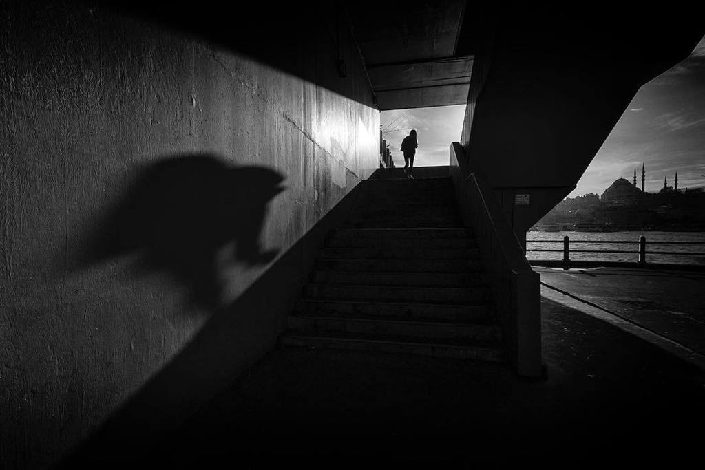 huseyinaldirmaz's tweet photo. #huseyinaldirmaz #fujifilmtr #instagram #turkishfollowers #seningozunden #istanbuldayasam #instapic #squaready #minimalism #turkinstagram #streetphotographers #photodigital #photooftheday #photodocumentary #minimalism_world #minimalmx #street_photo_club #comeseeturkey #ig_ph… https://t.co/3wVZTKh8R6