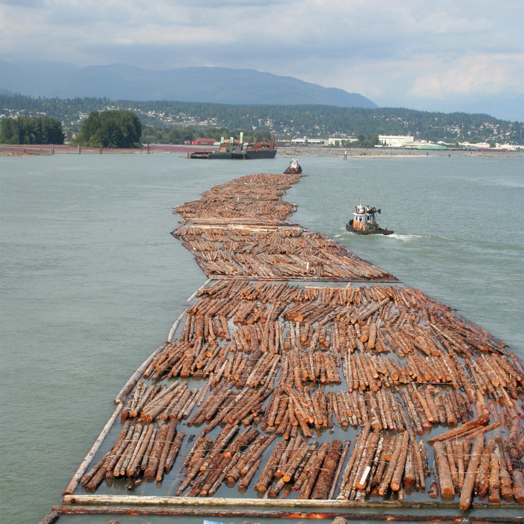 Молевой лесосплав. Сплав леса по реке енисей. Бревна по течению 9. Молевой сплав древесины по рекам. Братское водохранилище сплав леса.