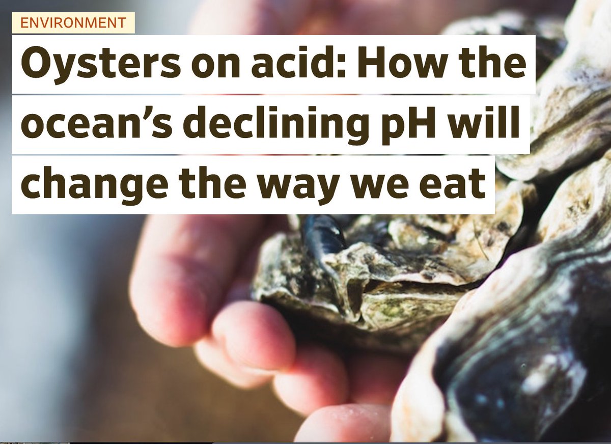 OA_NOAA's tweet photo. #sciencesaturday Why did ocean acidification appear in the Pacific Northwest before it showed up in Maine? Check out this article on how #oceancirculation impacts #oceanacidification and what this means for #oysters, #dungenesscrabs, and #kingcrabs. https://t.co/dSLOBNa2zG https://t.co/FWJ5ooSdIV