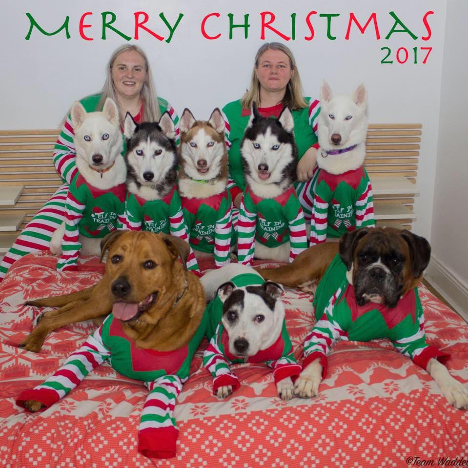 #Christmas #matchingpajamas #matchingpjs #christmastime #2017 #teamwaddell