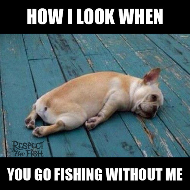trackerboats's tweet photo. https://t.co/8msVCWxr1S