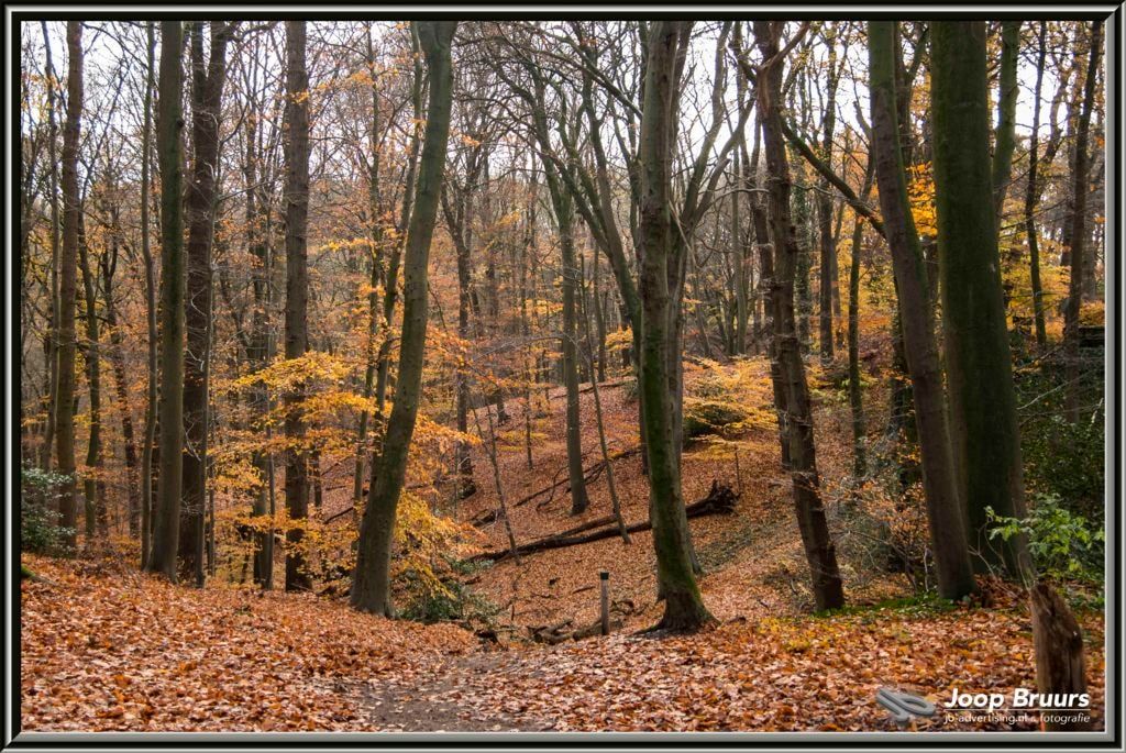 Herfst op de Duivelsberg via <a href="/joopbruurs/">Joop Bruurs</a> #photography #landscape bit.ly/2ADe1Ol