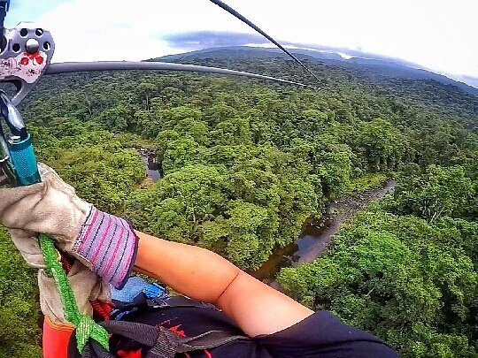 RainForestAdventures tweet media