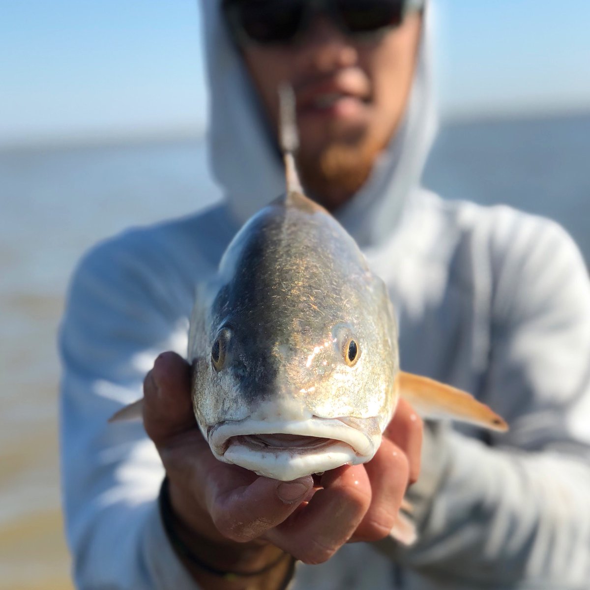 TXRedfishHunter's tweet photo. Mud Crawlers. https://t.co/WyicQnk3Et