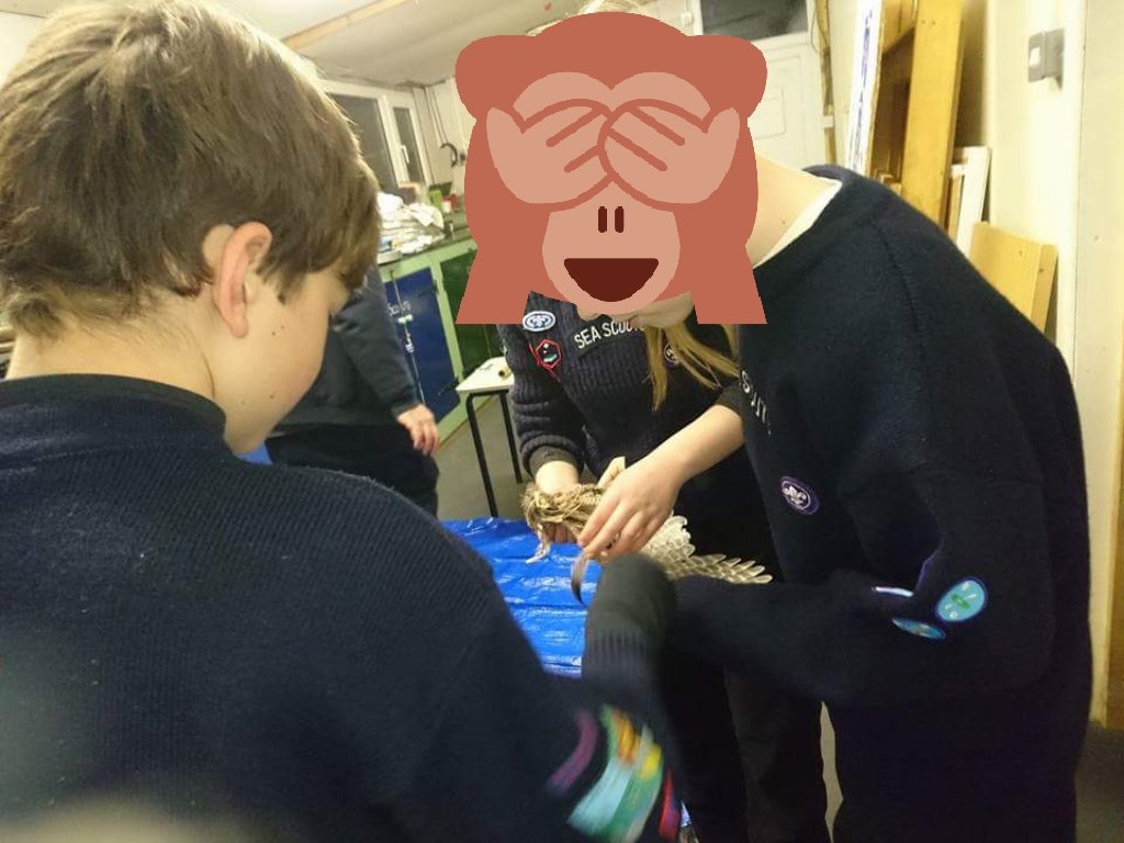 16th Norwich Sea Scout Group tweet media