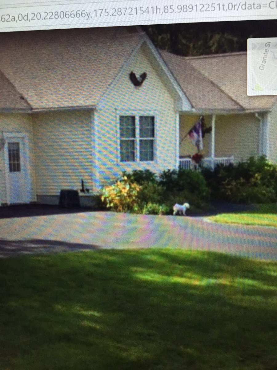 juliapearl_'s tweet image. Google earth just happen to catch my mom chasing Champ down the street and I can't stop laughing