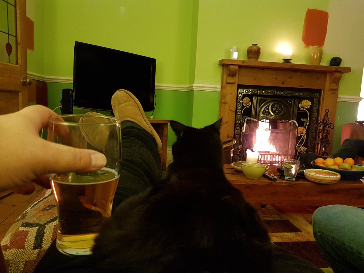 JeffOllerton's tweet photo. All you need is a cat and some velcro, and it turns out that people bring you drinks all night #donotdisturbthecat https://t.co/LVbr9p1nzu