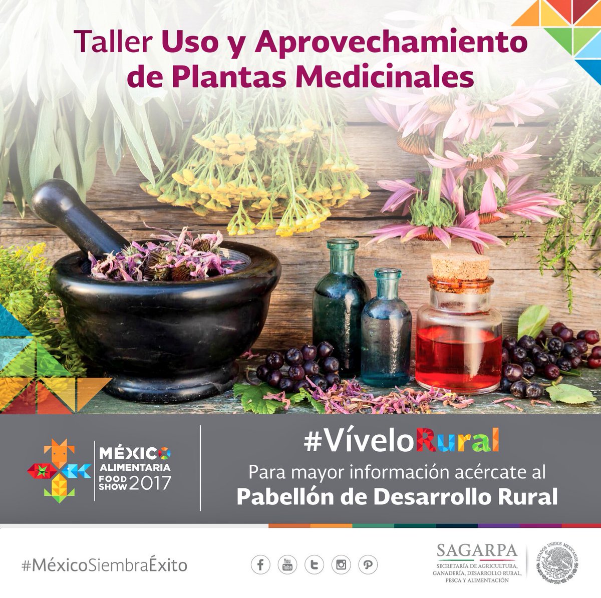 Mely_Romero's tweet photo. En el Pabellón de Desarrollo Rural de la @MxAlimentaria l@s visitantes podrán aprender a elaborar jarabes!! Te esperamos 7,8 y 9 de diciembre!! #VíveloRural https://t.co/698PdsdfQ1