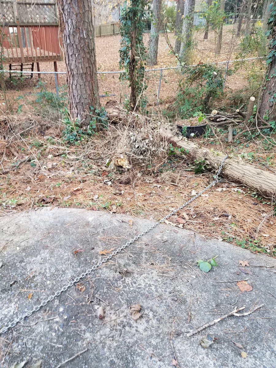 davidbaldwinATL's tweet photo. Finally got rid of that pesky old tree, redneck style. Surgical precision by the Explorer I might add. #yeehaw #nochainsaw https://t.co/LijJkGormq
