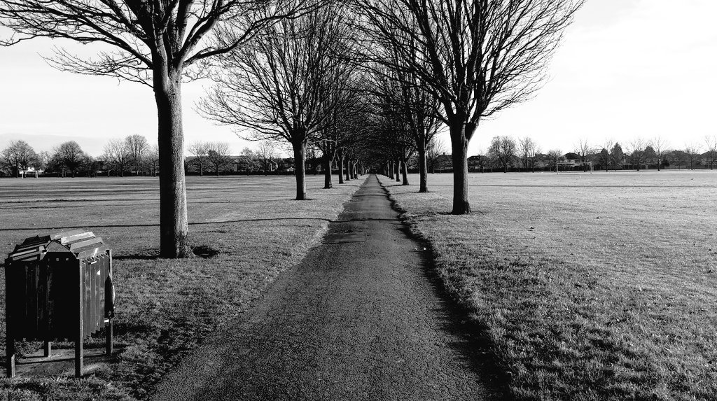 CharlesdieErste's tweet photo. I moved to England a few months ago and it is amazing. https://t.co/3w1yPVioRZ