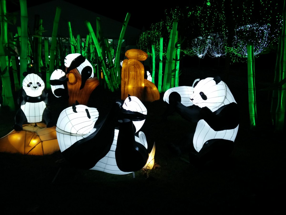 Magnifique festival des lanternes #gaillac #MagnifiqueFrance