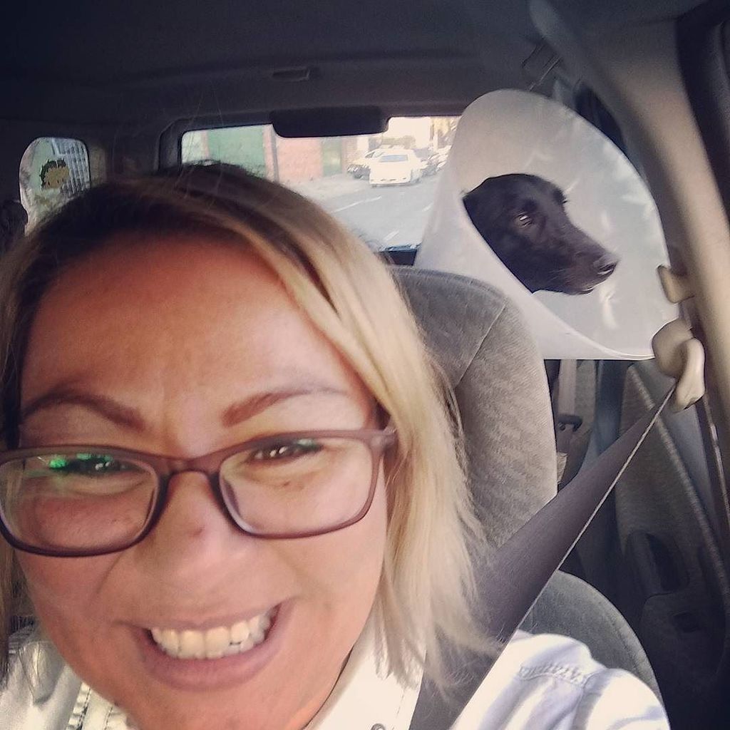 crishquintana's tweet photo. Look who's coming home? Feliz, feliz, de tenerte conmigo otra vez!!! 😍#EmmaWatson 🐶🐕 #OutoftheHospital https://t.co/qn1B1Py9t6