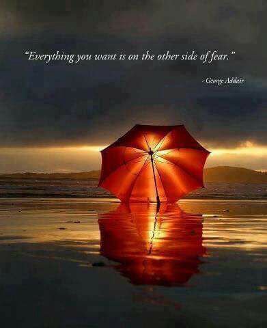 IAChiropractor's tweet photo. "Everything you want is on the other side of fear." ~George Addair

#quote #addair #cci https://t.co/H9HCk6tskA