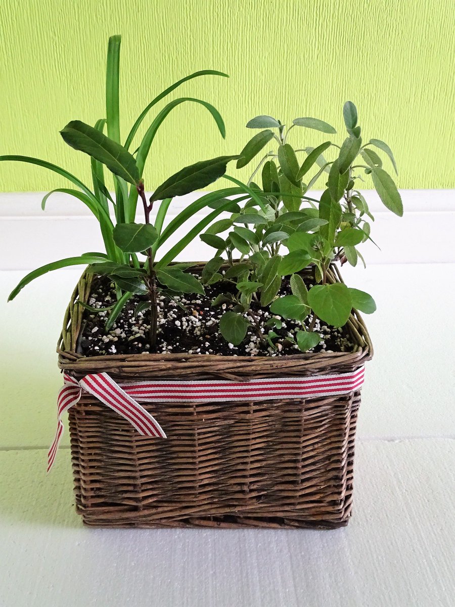 SepidehArkani's tweet photo. DON'T FORGET! #Fortismere #School #Christmas #Fair, #Tetherdown #MuswellHill N10 1NE is tomorrow 11am-4pm.
We have a range of #gifts from #small #terracotta #pots for #little
#people to #medium and #large #baskets and #tins for #adults.
@#FortismereChristmasFair @#Eastfinchley https://t.co/wlm7hoLoHm
