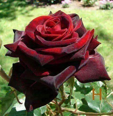 ma7717378's tweet photo. @LRfucKnTUnWB5Vb https://t.co/nvwPY6G55S