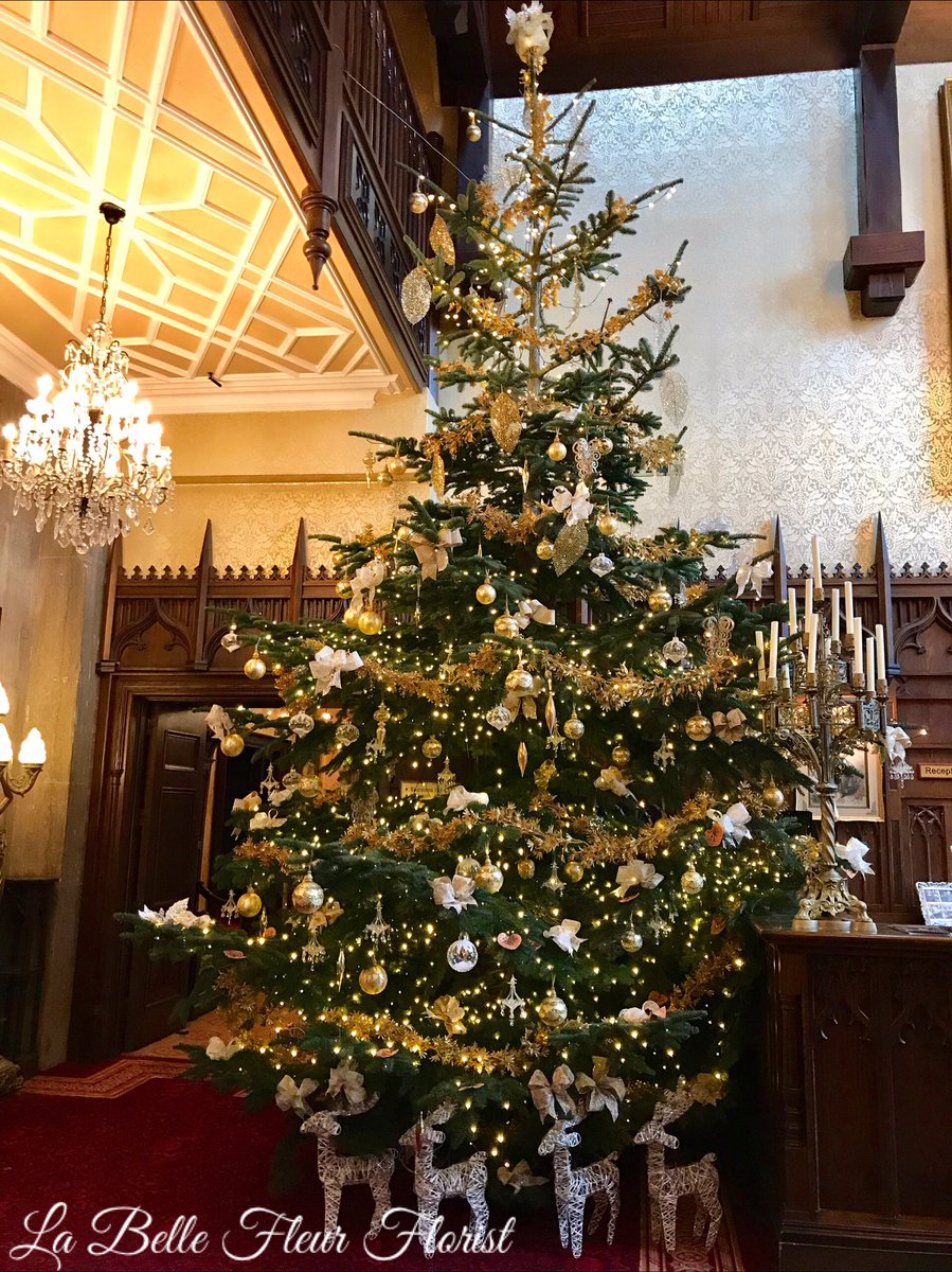 LaBelleFleurF's tweet photo. ✨✨Have you seen Kilronan Castle's Spectacular 19ft Real Christmas Tree at Reception yet?? 🎄 One of many real Christmas Trees we decorated at the Castle, it's a Stunner, 🎄✨🎩👑👸#ChristmasDecorating #FreshChristmasTree #KilronanCastle #FitForAKing #BigIsBeautiful #Loveourjob https://t.co/gxJ7V6SZ4r