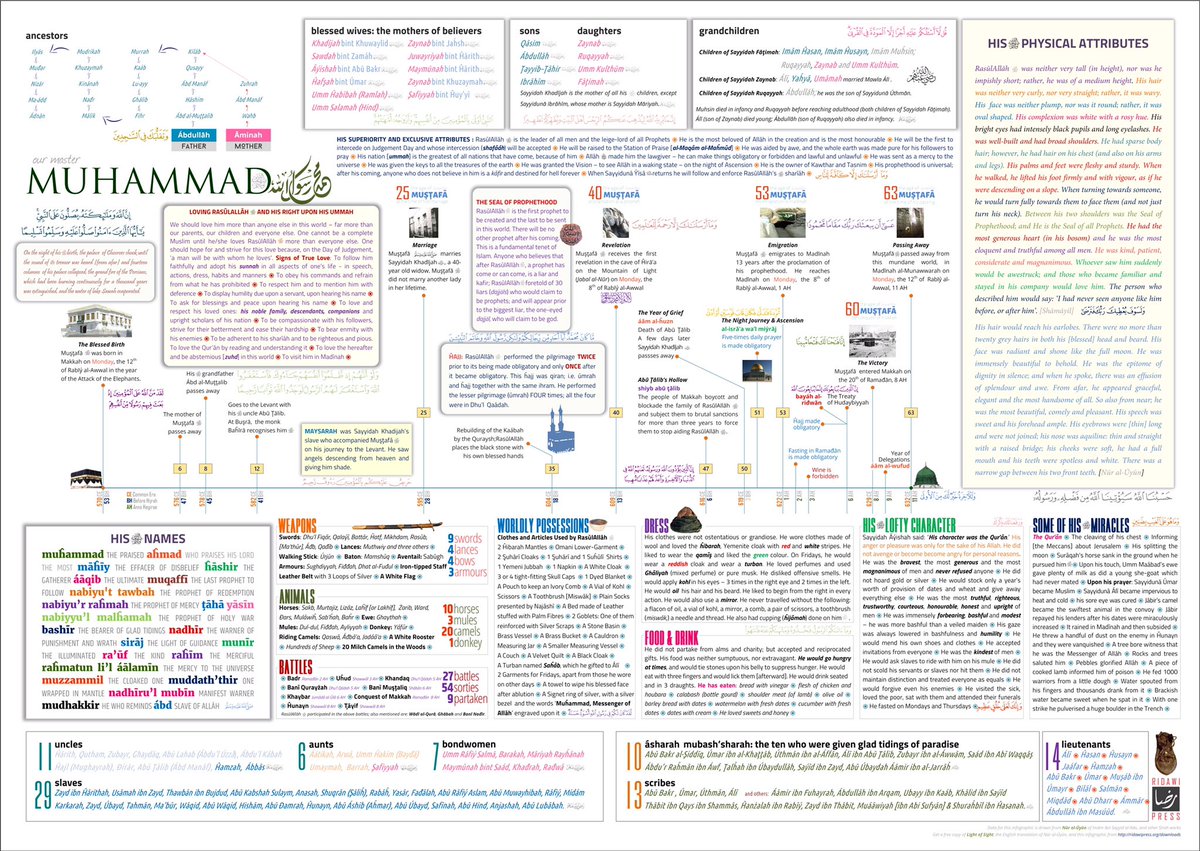 download bio inspired networking 2015