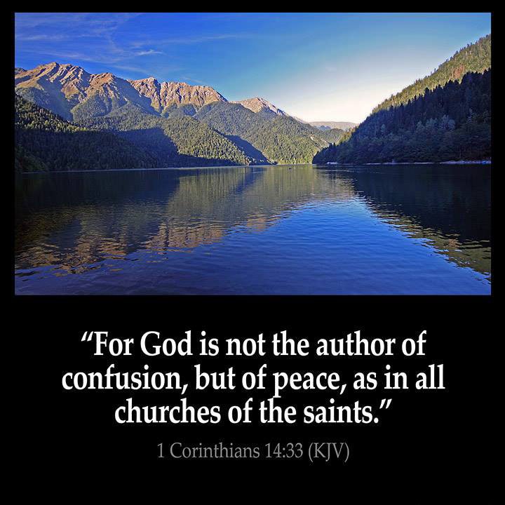 All Grace Abound tweet media