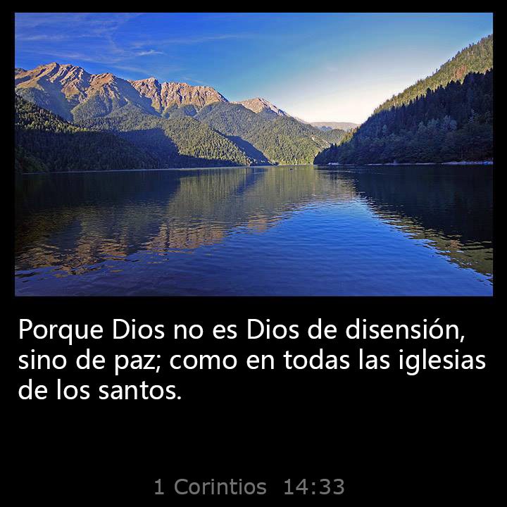 All Grace Abound tweet media