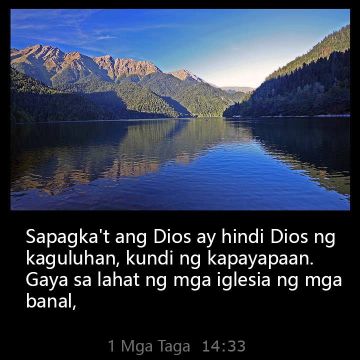 All Grace Abound tweet media