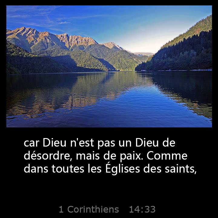 All Grace Abound tweet media