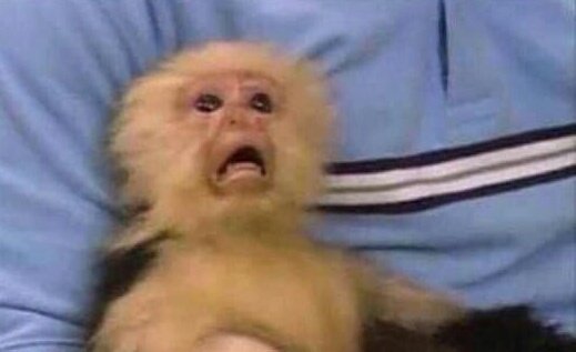 Hicnick's tweet image. When its the first day of your work
And you woke up at 12p.m