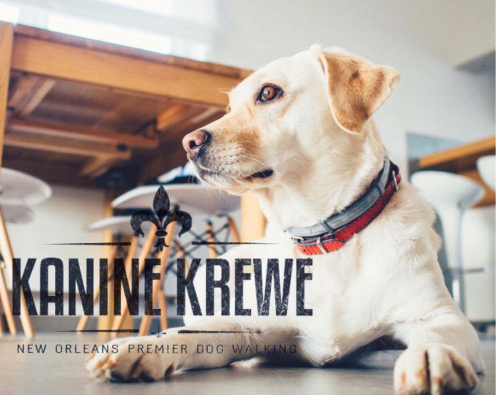 KaninekReweNola's tweet photo. Did you know that we match your schedule during overnight sitting to reduce your pet's anxiety!? #kaninekrewenola #nolapetsitter #nolapets https://t.co/SCnoNw3doc