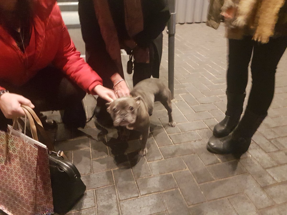 SunderlandSuper's tweet photo. I can confirm that @elfmusicaluk is completely brilliant & that @thebenforster is still very very awesome! #adminreview 😊 Winnie is also pretty awesome. 😍😍 https://t.co/Sv0n2AknvH