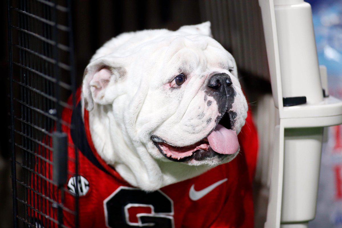 Do you believe? (Photo: USA Today Sports) #SECChampionship