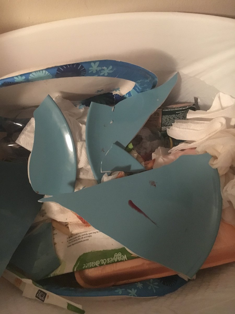 CoryPoper's tweet photo. There has been collateral damage from the auburn game #RipPlate https://t.co/hNonXw0UnG
