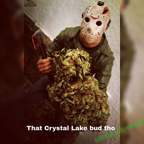 Wasteland_Vamp's tweet photo. Live now with #Thelatenightreeferfeature Join the smoked out fun as we play yourfavorite games! Up first #@Friday13thGame then #DeadbyDaylight with friends,followers and subs! https://t.co/eErzFRNC0N #TeamEmmmmsie #TeamNoSleep @TNS_TV #Tnstwitch @GFXCoach @Bear_Retweets @4AG_rts https://t.co/XkXDg5Qd25