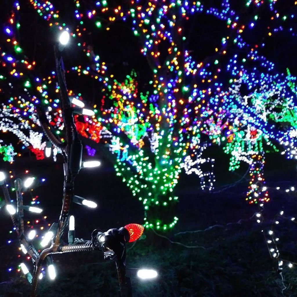 #lombard #Illinois #happyholidays #christmaslights ift.tt/2AqJHnO