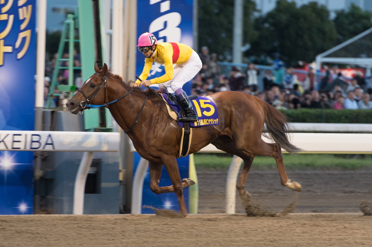 JBC_HorseRacing's tweet photo. ★ 全16頭中8頭がGⅠ馬(JpnⅠ、海外GⅠ含)超豪華メンバー
#JBC2015 #大井/#JBC2016 #川崎/#JBC2017 #大井=過去3年【クラシック優勝馬】揃い踏み
前年覇者⑭#サウンドトゥルー は前走 #JBCクラシック に続くGⅠ連覇狙う
15時30分、ゲートイン!
https://t.co/98Hp8EyCLe
(JBC事務局) https://t.co/qJm6CAVZpk