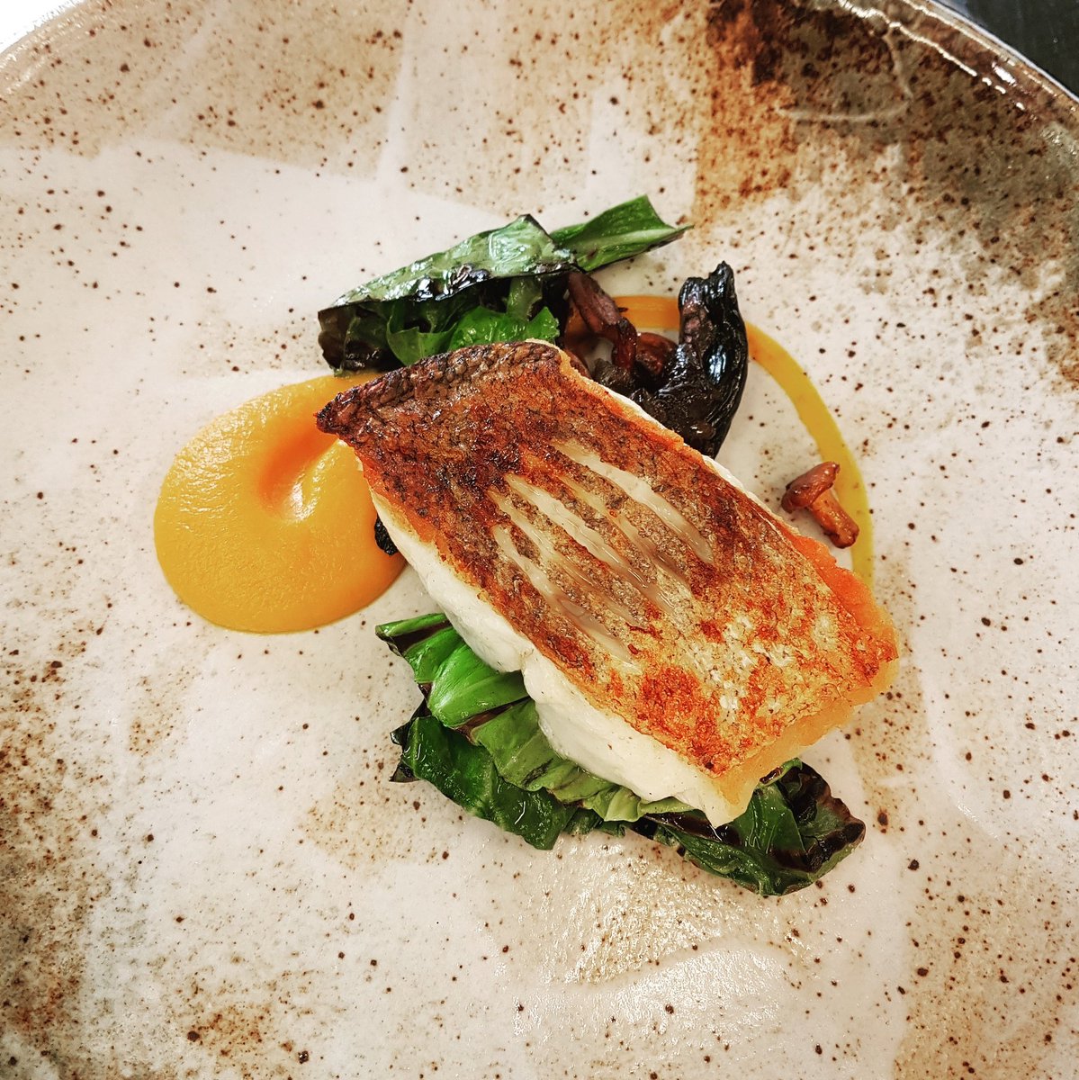 chefmarklawton's tweet photo. Roasted hake | butternut squash | wild mushrooms | hispi #michelin #stillpushingforthatupgrade #AArosette 🤙 https://t.co/S6zXTYsHUt