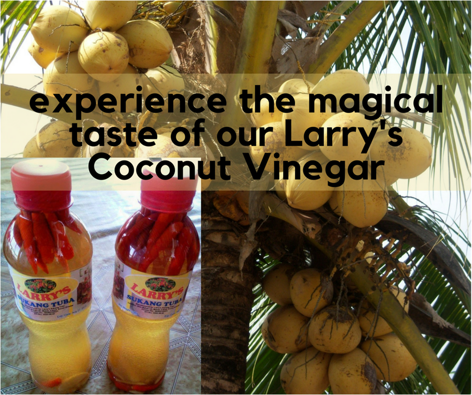 LarryBalmori's tweet photo. Experience the magical taste of Larry's Coconut Vinegar. It increases your desire to eat more food, Our products has a lot to offer not only for sauces but also has medicinal uses and it is a good source of minerals.
#magicaltaste
#coconutvinegar https://t.co/a5TmyJtUNK