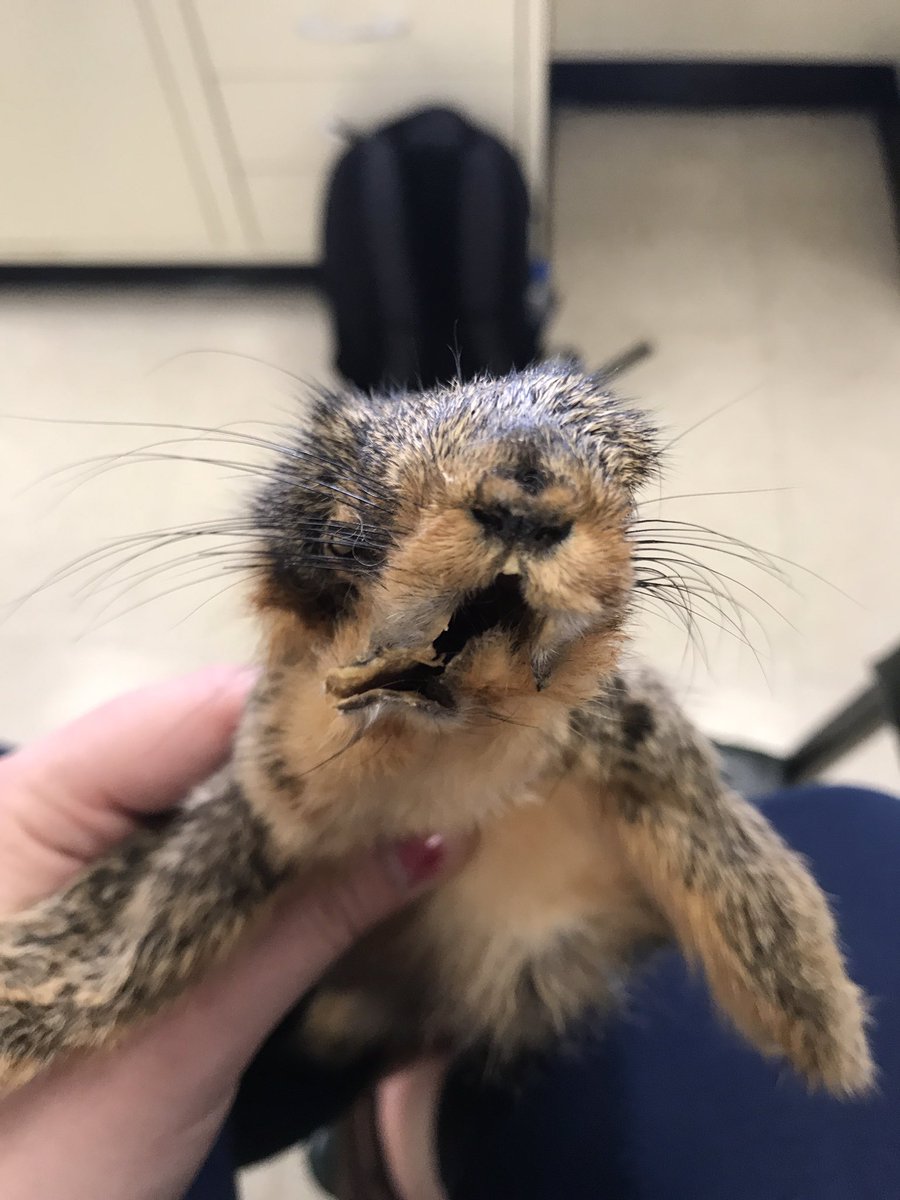 abbyblinker's tweet photo. When the Olin health center doesnt pull through #FWClass https://t.co/yWDz4UHrA5