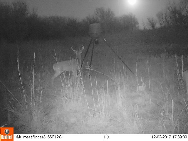 It also sees some deer.