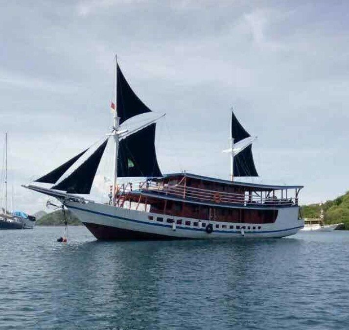 komodo_boat's tweet photo. Klm Lamborajo
Boat Charter Sailing Trip Komodo
Boat Charter Luxury Komodo
Maksimal 14 Orang
Boking
Telpon/Whatsapp.082340604460 https://t.co/dJUxcNs0nO