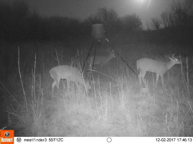 Horn Addict (@hornaddict) on Twitter photo 