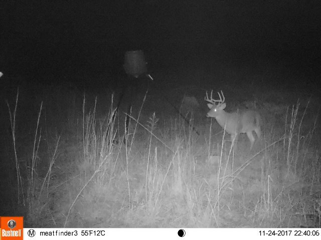 Horn Addict (@hornaddict) on Twitter photo 