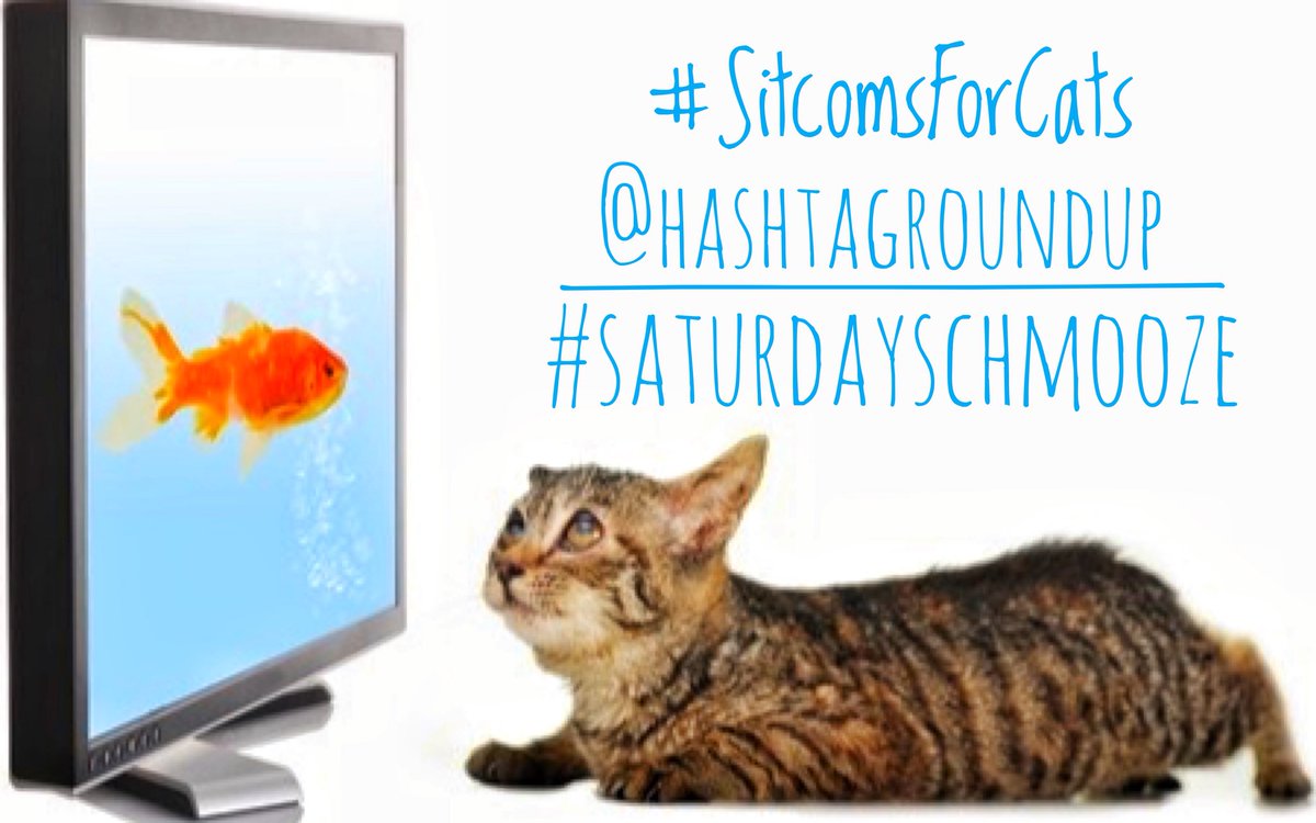 gamiliell's tweet photo. You are really rockin’ it out tonight! #SitcomsForCats is concurrently trending #5UK and #5US! #sogreat! Thanks so much to everyone for playing and making #SaturdaySchmooze such a great game on @HashtagRoundup #poweredby @TheHashtagGame! #weloveyou! 💕 Join us every week! https://t.co/XisyM4pzPV
