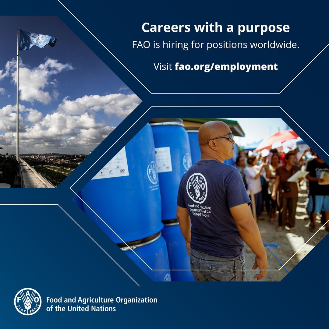 We are #hiring! Visit our employment portal to check out our current vacancies: bit.ly/2iFnbDp  #jobs <a href="/FAOJobs/">Vacancies at FAO</a>