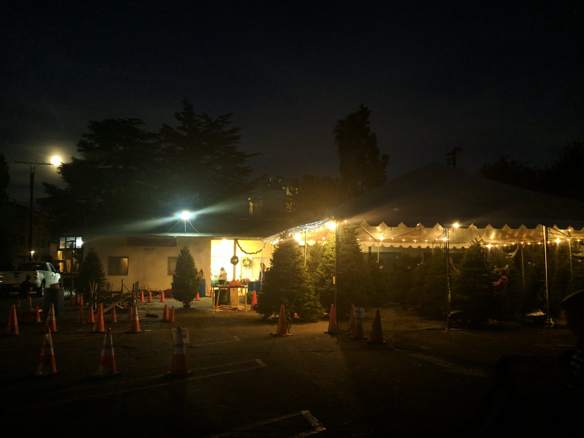 The_B_Company's tweet image. This is where the action is! #TreesForKids #nonprofit #ChristmasTrees  #StudioCity